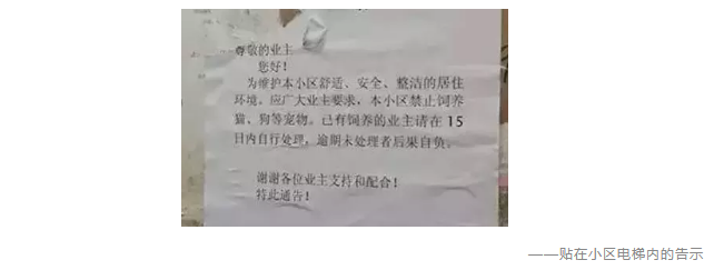 為什么不買保險就不讓養(yǎng)狗？