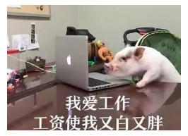 發(fā)生車禍如何快速理賠？