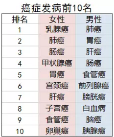 康惠保旗艦版值不值得購買？