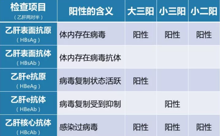 乙肝病毒攜帶者應(yīng)該如何正確投保？