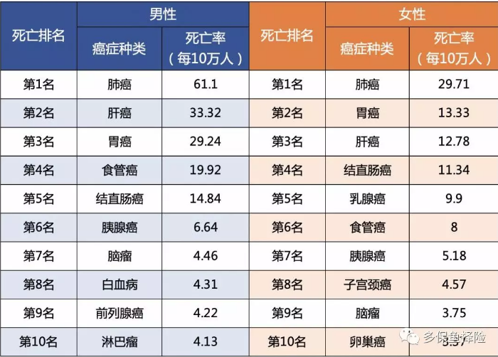女性高發(fā)重疾怎么選？