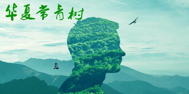 華夏常青樹多倍版和華夏福哪個(gè)好 包含自然身故嗎？