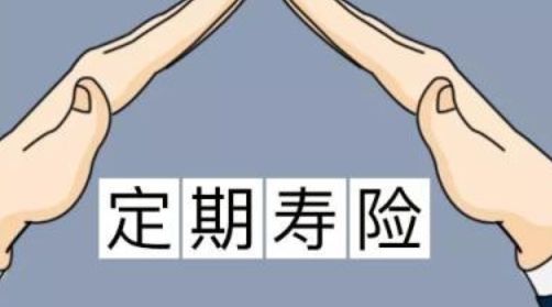 定期壽險和終身壽險的區(qū)別！弄清楚了才能更好地作出選擇！